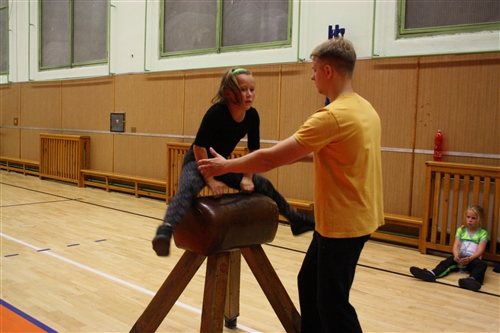 Obrázek v galerii
